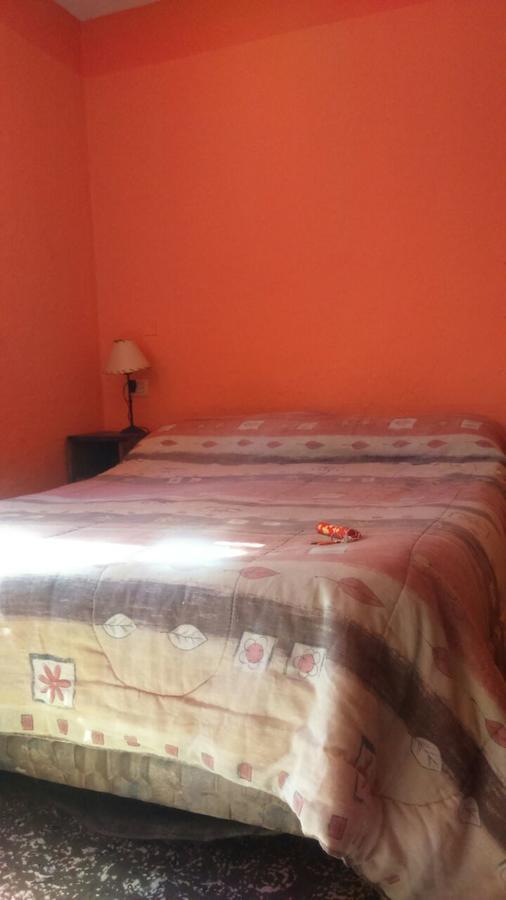 Hostel Internacional Mendoza Bagian luar foto